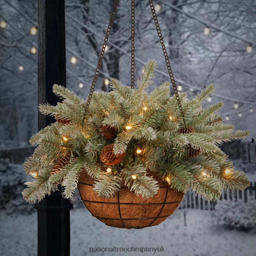Greenery | National Tree Company Pre-Lit \Feel Real\ Artificial Christmas Hanging Basket Arctic Spruce Decorated With Frosted Pine Cones White Lights Christmas Collection 20 Inches F2L4F435